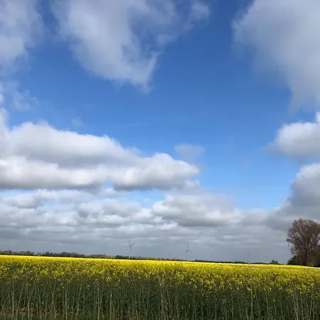 Lejlighed Tief 10 Deichkieker 204 Zu Verkaufen Schillig