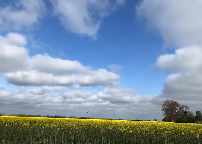 Tief 10 Deichkieker 204 Zu Verkaufen